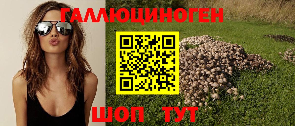 Псилоцибиновые грибы ЛСД Великий Новгород